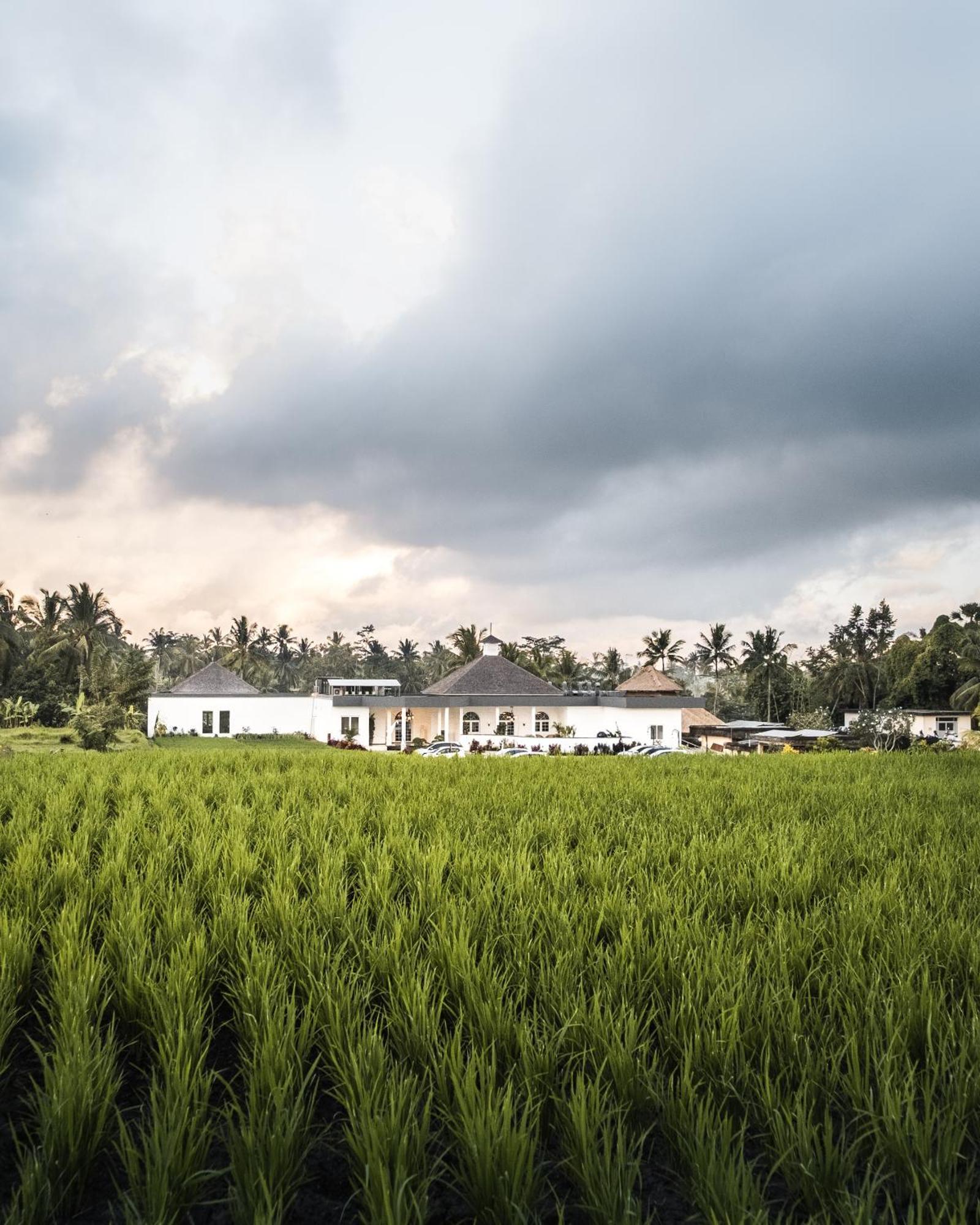 Cascades Suites Ubud Kültér fotó
